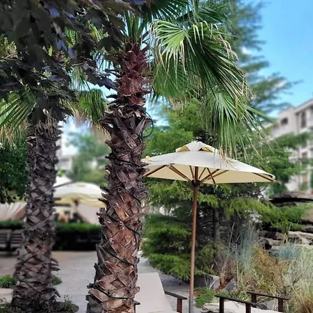 Deluxe In Cascadas Sunny * サニービーチ